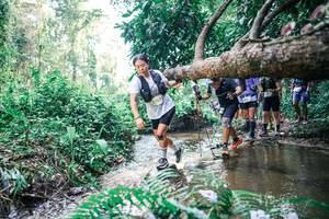 BIB: 
                            <button type="button" onclick="openModal(25458019)" class="btn btn-primary btn-sm float-right btn-popup" data-toggle="modal" data-target=".modal-high-quality">
                        <i class="fas fa-shopping-cart"></i> Add to Cart
                    </button>
                                            <button type="button" onclick="isThisMe(25458019, true)" class="btn btn-success btn-sm float-right btn-popup btn-isme hidden" data-toggle="tooltip" data-placement="bottom" title="นี่คือรูปของคุณใช่ไหม คลิกที่นี่เพื่อเอาเข้าอัลบั้ม">
                        <i class="fas fa-plus"></i> Add to album
                    </button>
                    <button type="button" onclick="isThisMe(25458019, false)" class="btn btn-warning btn-sm float-right btn-popup btn-isnotme hidden">
                        <i class="fas fa-ban"></i> Remove from album
                    </button>